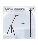 NEEWER TP08 Trípode monopié para cámara de 77"