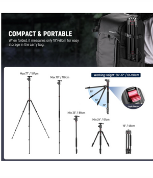 NEEWER Trípode de cámara de 77 pulgadas para DSLR, teléfono con cabeza de bola